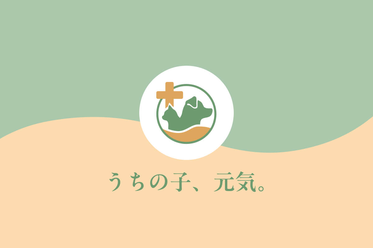 ダミー画像