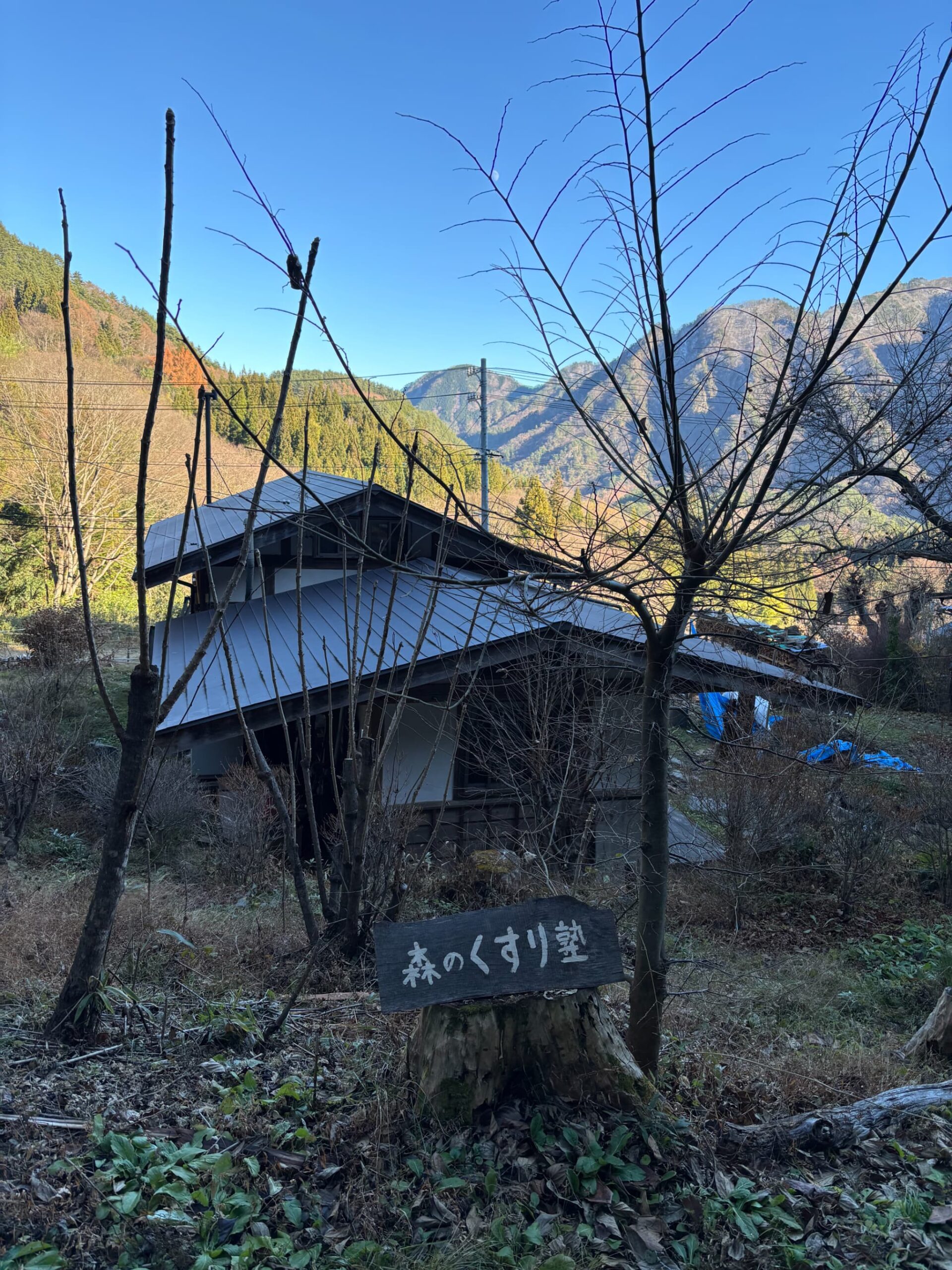 店主の奥様